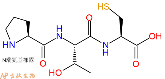 专肽生物产品三肽Pro-Thr-Cys
