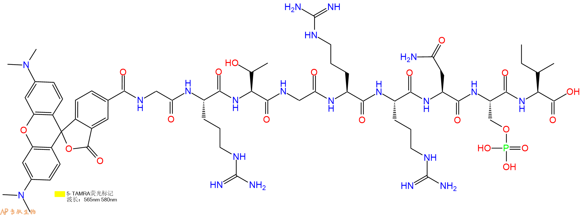 专肽生物产品5TAMRA-GRTGRRN-Ser(PO3H2)-I
