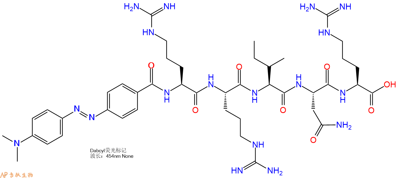 专肽生物产品标记肽DABCYL-RRINR-OH; DABCYL-Arg-Arg-Ile-Asn-1010104-64-9