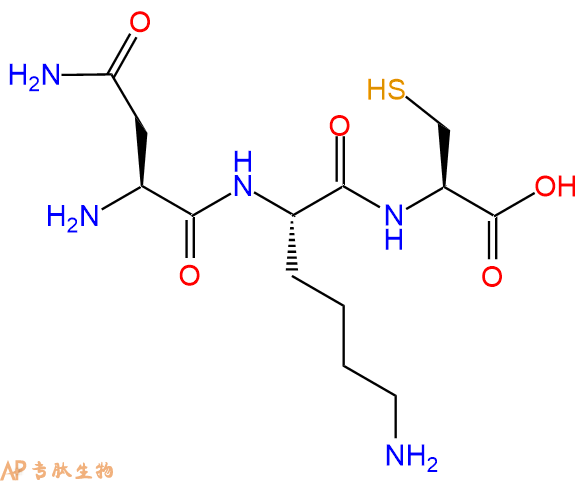 专肽生物产品三肽Asn-Lys-Cys
