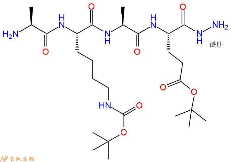 专肽生物产品四肽Ala-Lys(Boc)-Ala-Glu(OtBu)-NH-NH253665-77-3