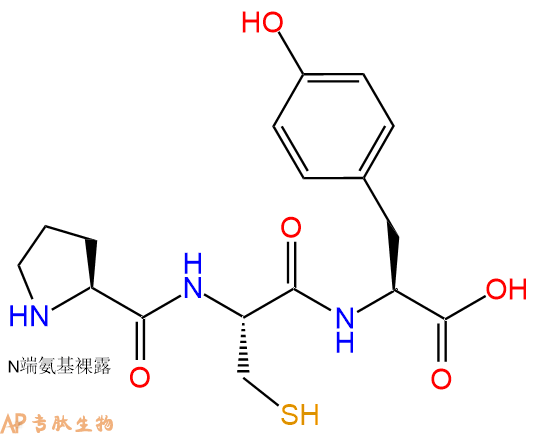 专肽生物产品三肽Pro-Cys-Tyr
