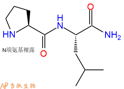 专肽生物产品二肽Pro-Leu-NH2