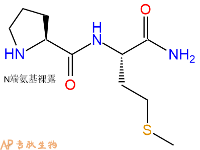 专肽生物产品二肽Pro-Met-NH2