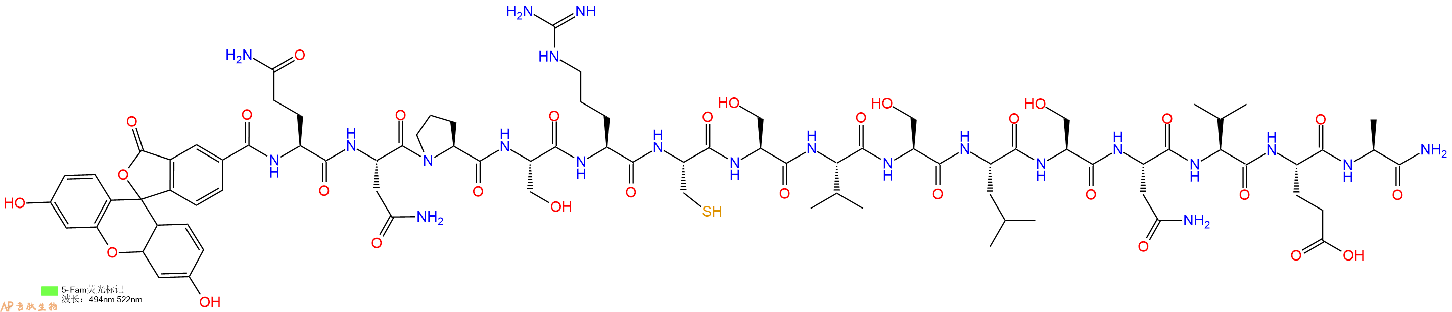 专肽生物产品荧光标记肽5-FAM-QNPSRCSVSLSNVEA-NH2