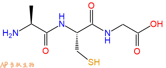 专肽生物产品三肽Ala-Cys-Gly