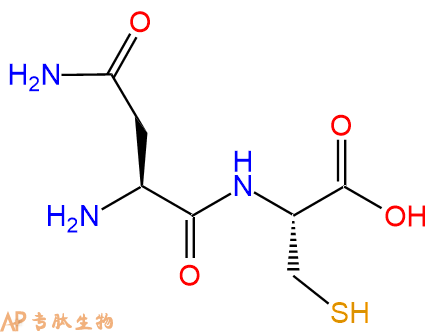 专肽生物产品二肽Asn-Cys