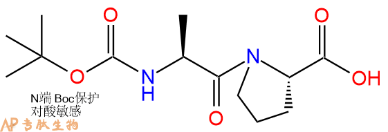 专肽生物产品Boc-Ala-Pro-OH33300-72-0