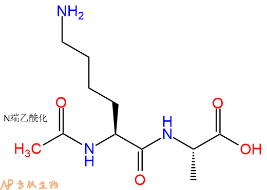 专肽生物产品二肽Ac-Lys-Ala