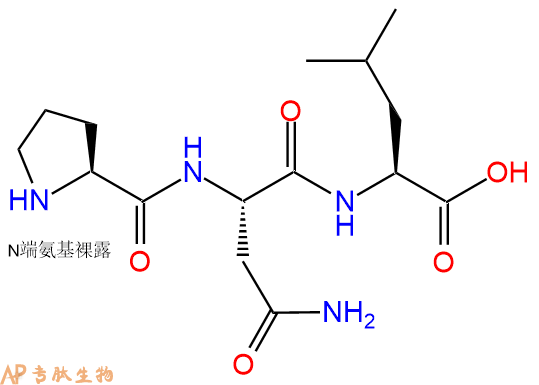 专肽生物产品三肽Pro-Asn-Leu