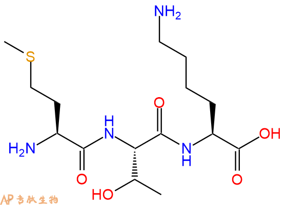 专肽生物产品三肽Met-Thr-Lys