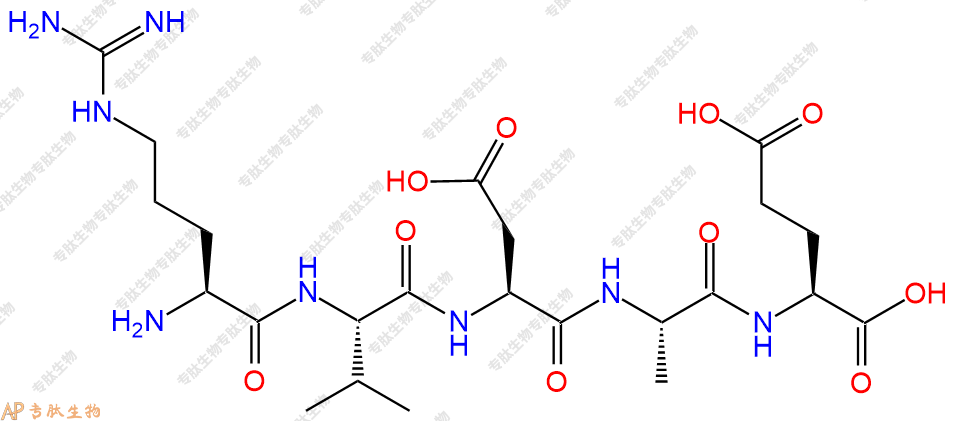 专肽生物产品五肽Arg-Val-Asp-Ala-Glu250741-56-1