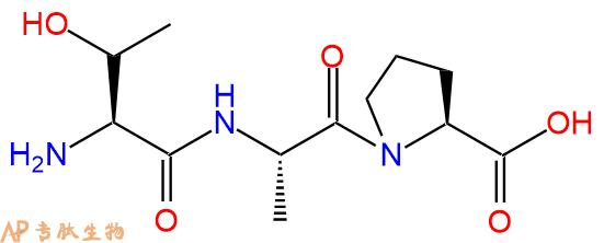 专肽生物产品三肽Thr-Ala-Pro