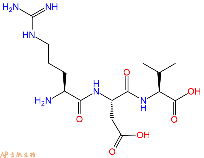 专肽生物产品三肽Arg-Asp-Val