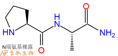 专肽生物产品二肽Pro-Ala-NH2