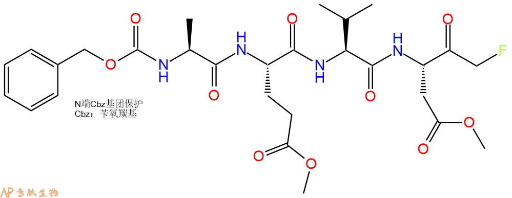 专肽生物产品半胱氨酸蛋白酶Caspase Inhibitor Group III1135688-47-9