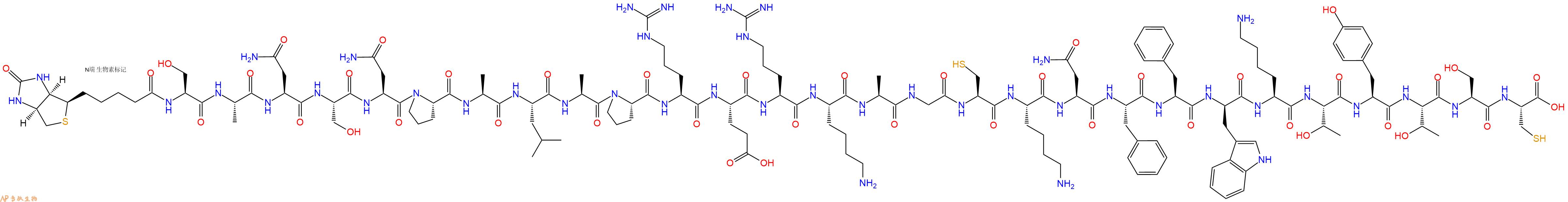 专肽生物产品生物素标记肽Biotin-SANSNPALAPRERKAGCKNFFwKTYTSC143519-58-8