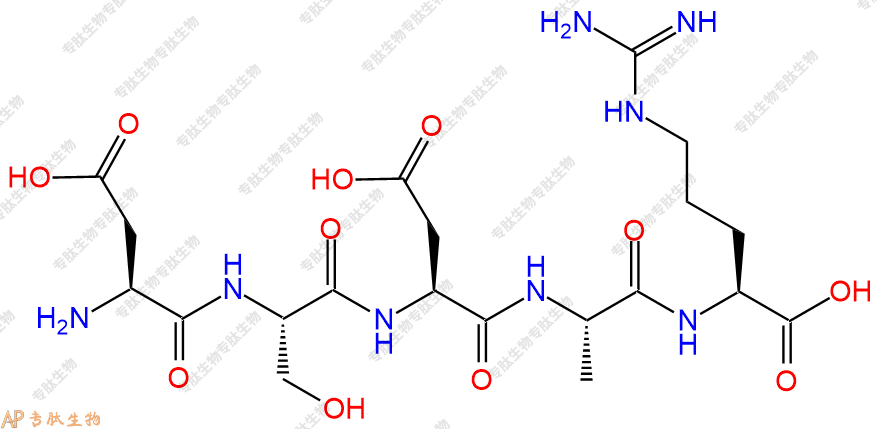 专肽生物产品五肽Asp-Ser-Asp-Ala-Arg121274-58-6
