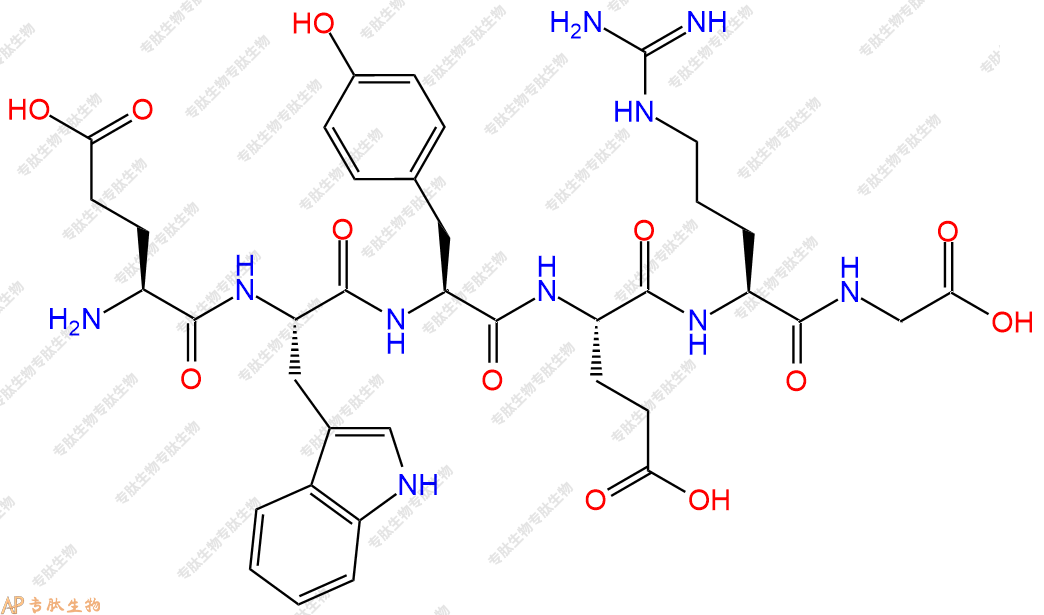 专肽生物产品六肽Glu-Trp-Tyr-Glu-Arg-Gly64140-79-0