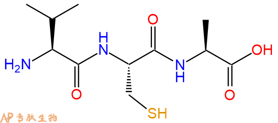 专肽生物产品三肽Val-Cys-Ala