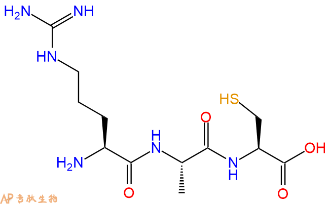 专肽生物产品三肽Arg-Ala-Cys