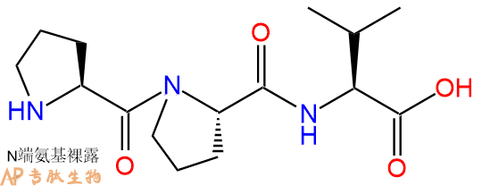 专肽生物产品三肽Pro-Pro-Val