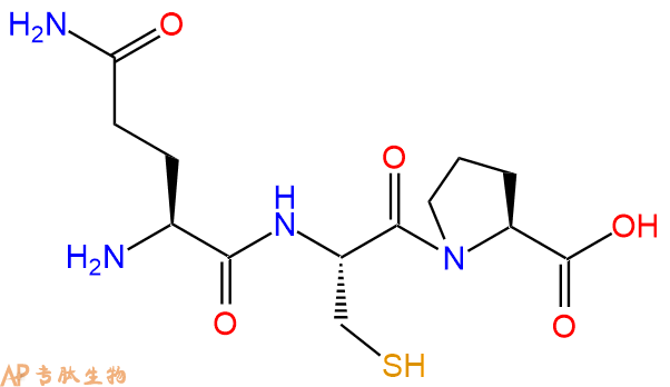 专肽生物产品三肽Gln-Cys-Pro