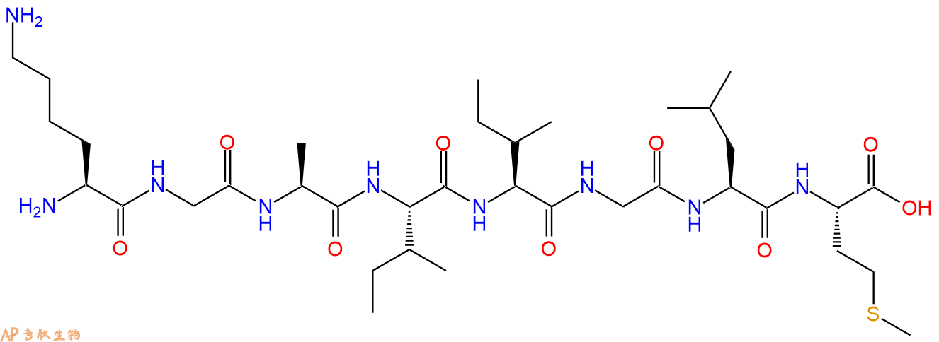 专肽生物产品淀粉肽Amyloid β 28-35 human、Aβ28-35