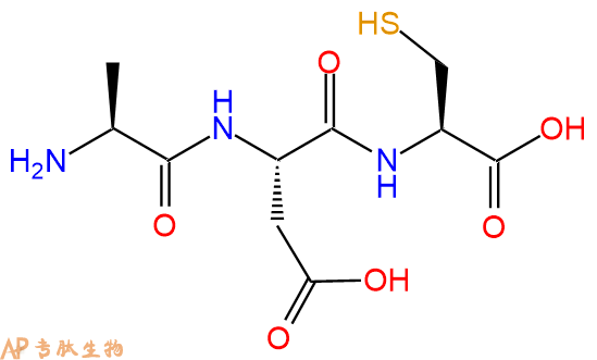 专肽生物产品三肽Ala-Asp-Cys