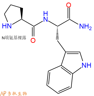 专肽生物产品二肽Pro-Trp-NH2