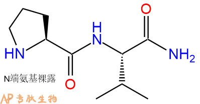 专肽生物产品二肽Pro-Val-NH2
