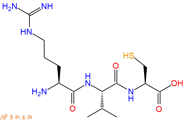 专肽生物产品三肽Arg-Val-Cys