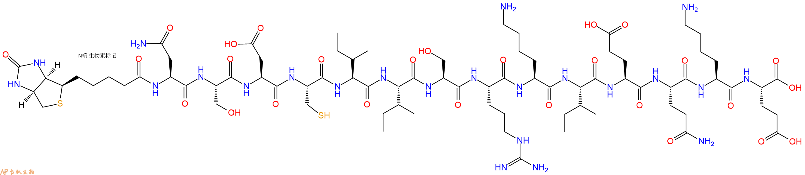 专肽生物产品生物素标记肽Biotin-NSDCIISRKIEQKE2022956-39-2