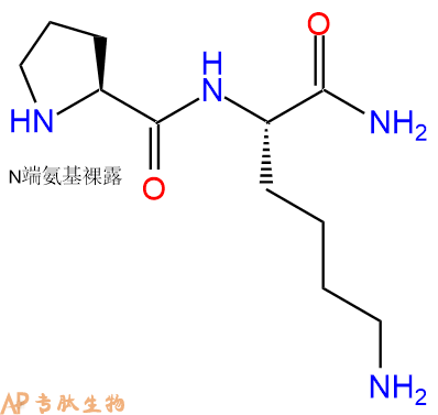 专肽生物产品二肽Pro-Lys-NH2