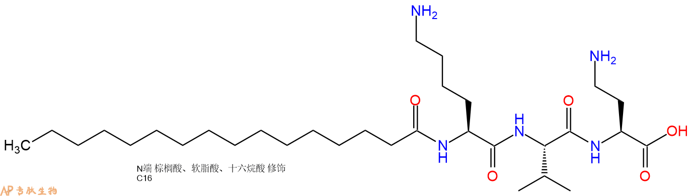 专肽生物产品Pal-Lys-Val-Dab