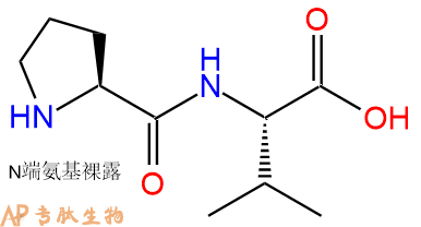 专肽生物产品二肽Pro-Val52899-09-9