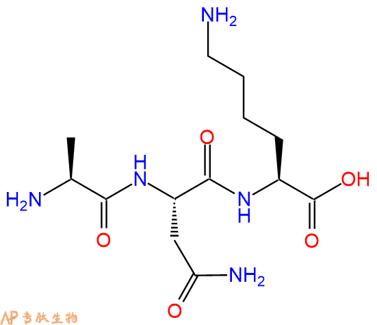 专肽生物产品三肽Ala-Asn-Lys