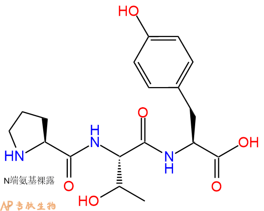 专肽生物产品三肽Pro-Thr-Tyr