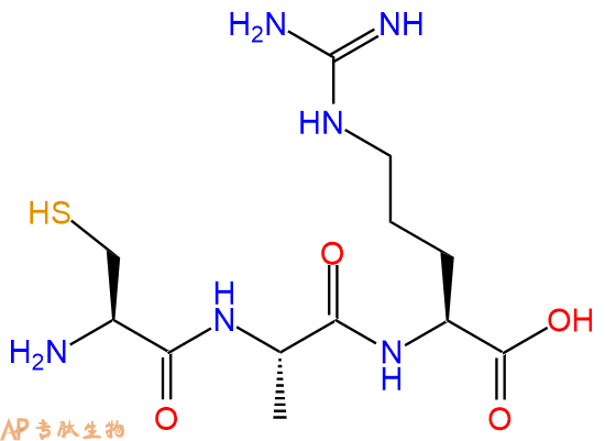 专肽生物产品三肽Cys-Ala-Arg
