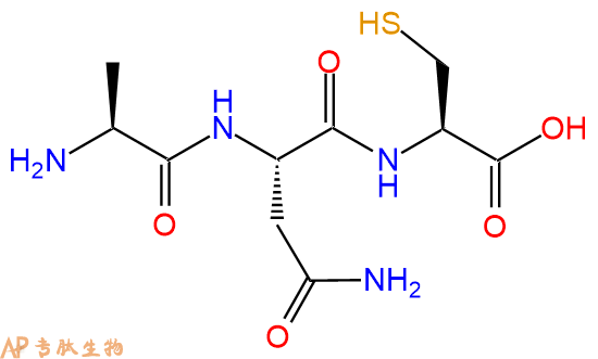 专肽生物产品三肽Ala-Asn-Cys