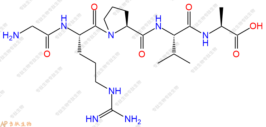 专肽生物产品五肽Gly Arg Pro Val Ala126572-24-5