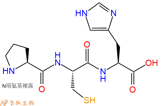 专肽生物产品三肽Pro-Cys-His