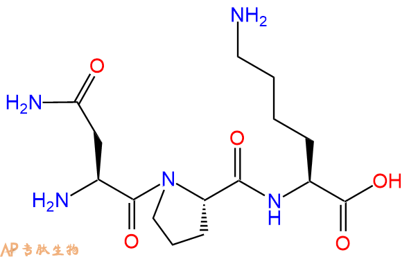 专肽生物产品三肽Asn-Pro-Lys