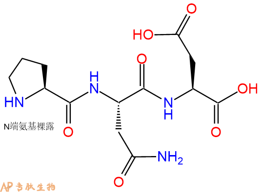 专肽生物产品三肽Pro-Asn-Asp