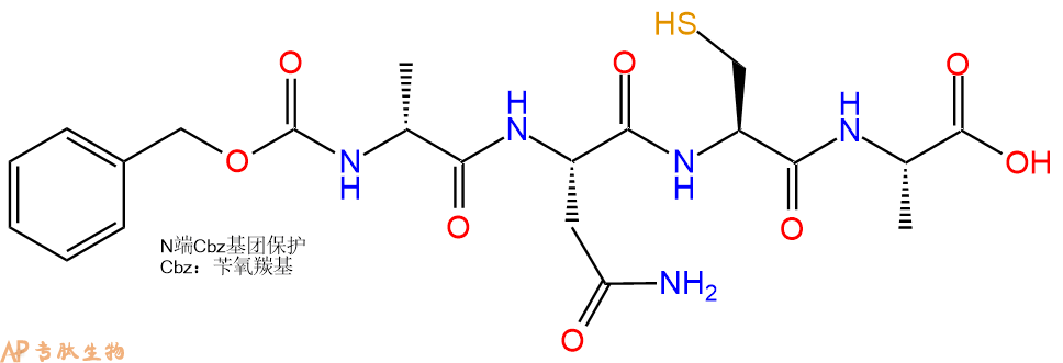 专肽生物产品四肽Cbz-DAla-NCA129288-48-8