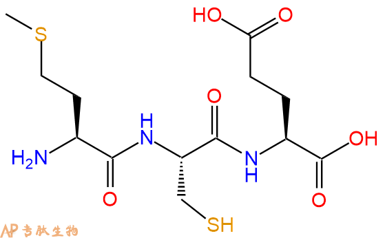 专肽生物产品三肽Met-Cys-Glu