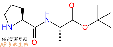 专肽生物产品二肽Pro-Ala-OtBu75141-62-7