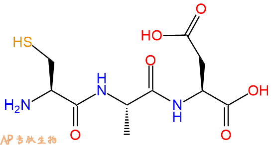 专肽生物产品三肽Cys-Ala-Asp