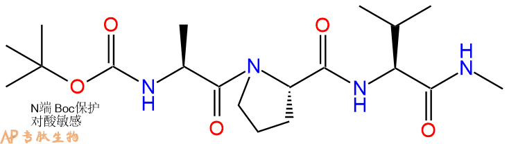 专肽生物产品三肽Boc-Ala-Pro-Val-甲氨基化87105-29-1