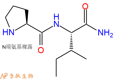 专肽生物产品二肽Pro-Ile-NH2